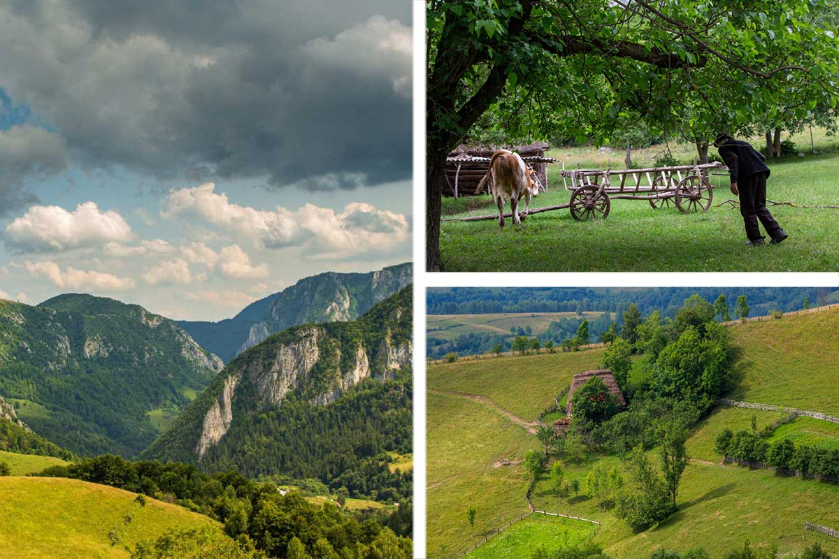 Country life in the Apuseni mountains